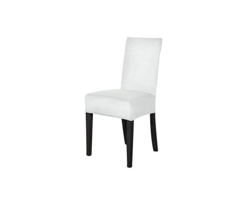 Kadife Sandalye Kılıfı Lastıkli Standart 6'lı Beyaz Renk